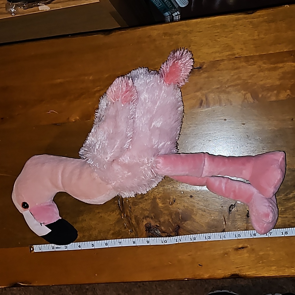 Flamingo - Picture 4 of 5